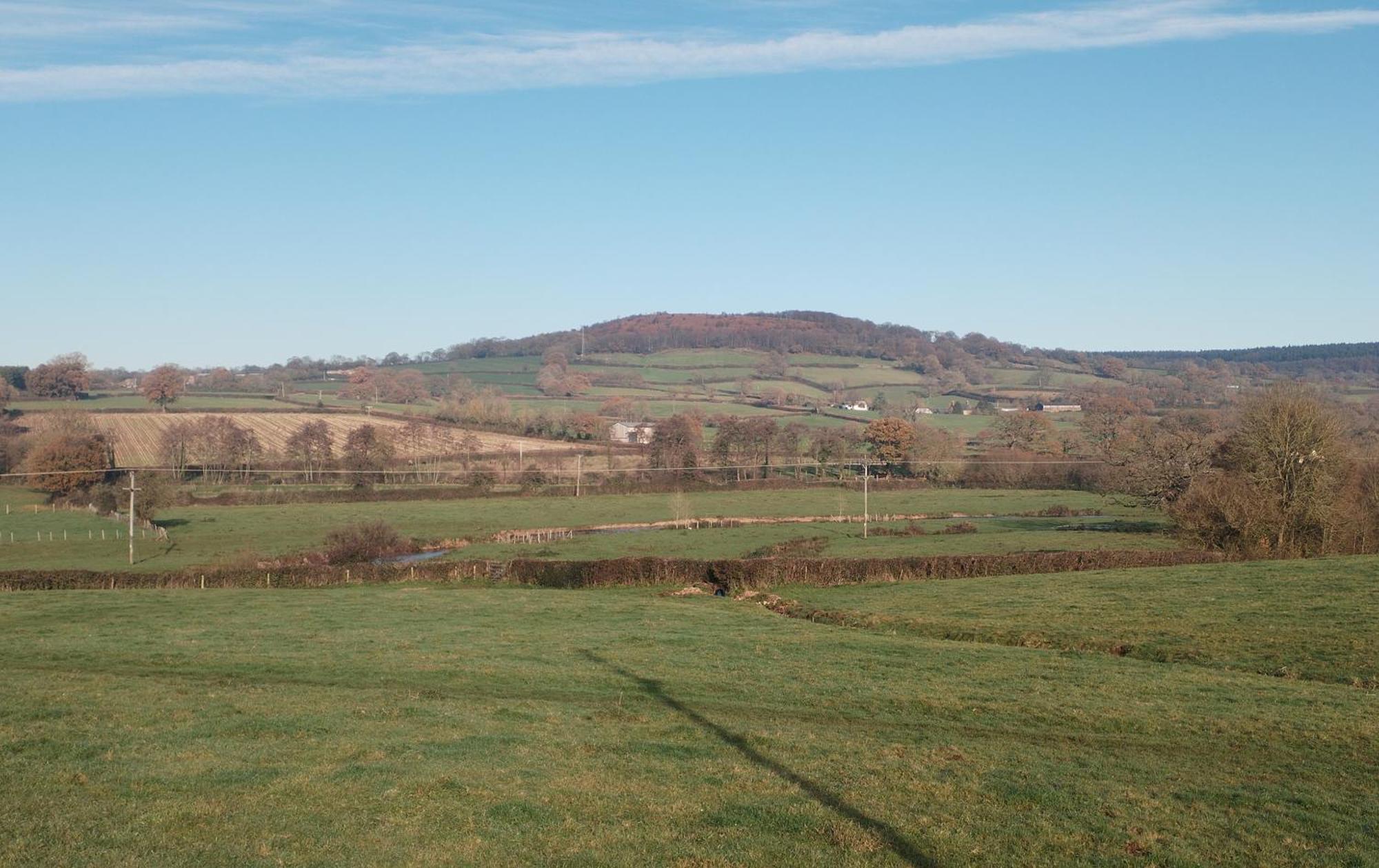 Spacious And Sunny Accommodation With Underfloor Heating Throughout Culmstock Esterno foto